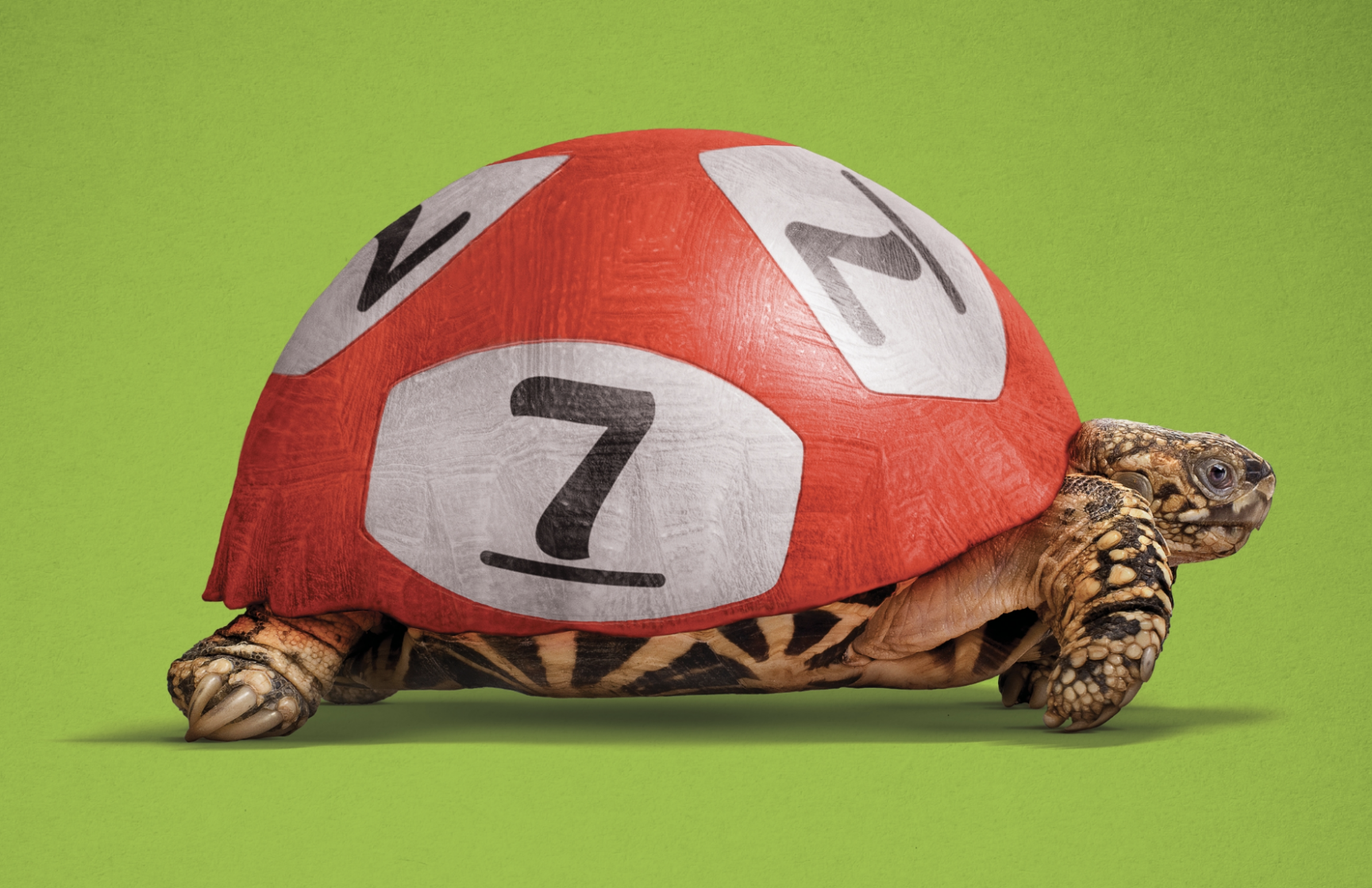 National Lottery